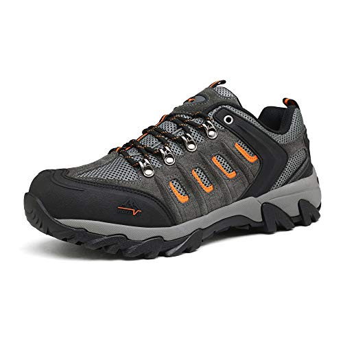 Best Top 10 Hiking Shoes 2024: Best Footwear for Outdoor Adventures!